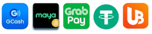 paldo website image 21 showing payment