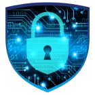 paldo absolute security