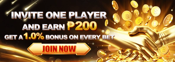 paldo home banner